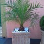 decoracao (2)